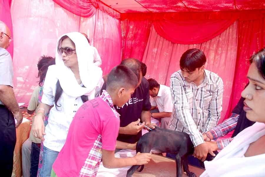 Anti Rabbis Vacination Camp in Delhi