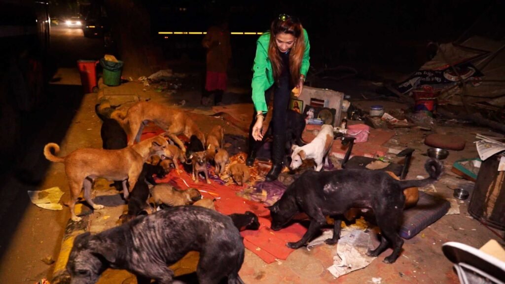 Sanjana Jon Feeding Street Mother dogs and Puppies