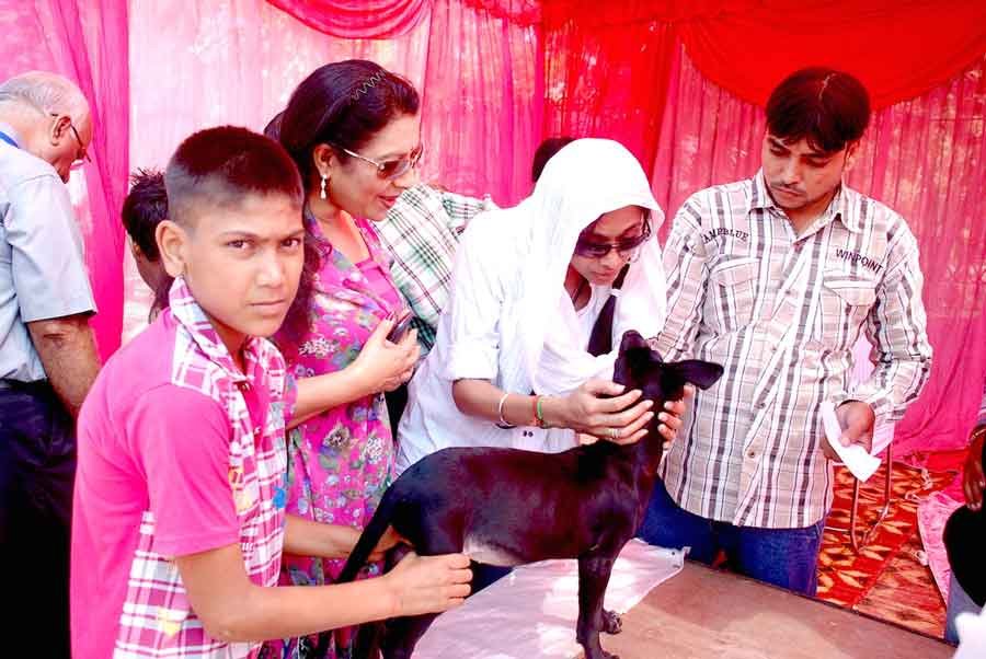 Anti Rabbis Campaign Delhi