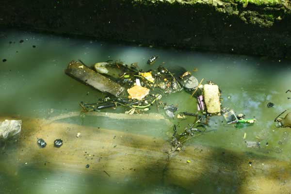 Cleen & Green Kochi Campaign by dr.Sanjana Jon