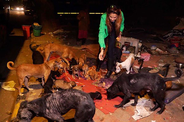 Sanjana Jon Feeding Street Mother dogs and Puppies
